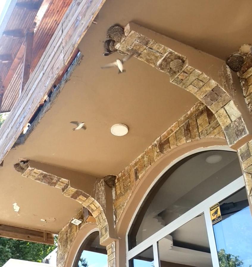 Hotel Piccolino Szkodra Zewnętrze zdjęcie