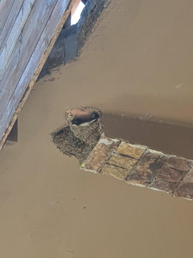 Hotel Piccolino Szkodra Zewnętrze zdjęcie